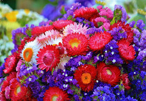 Meet your Posher, Ruby